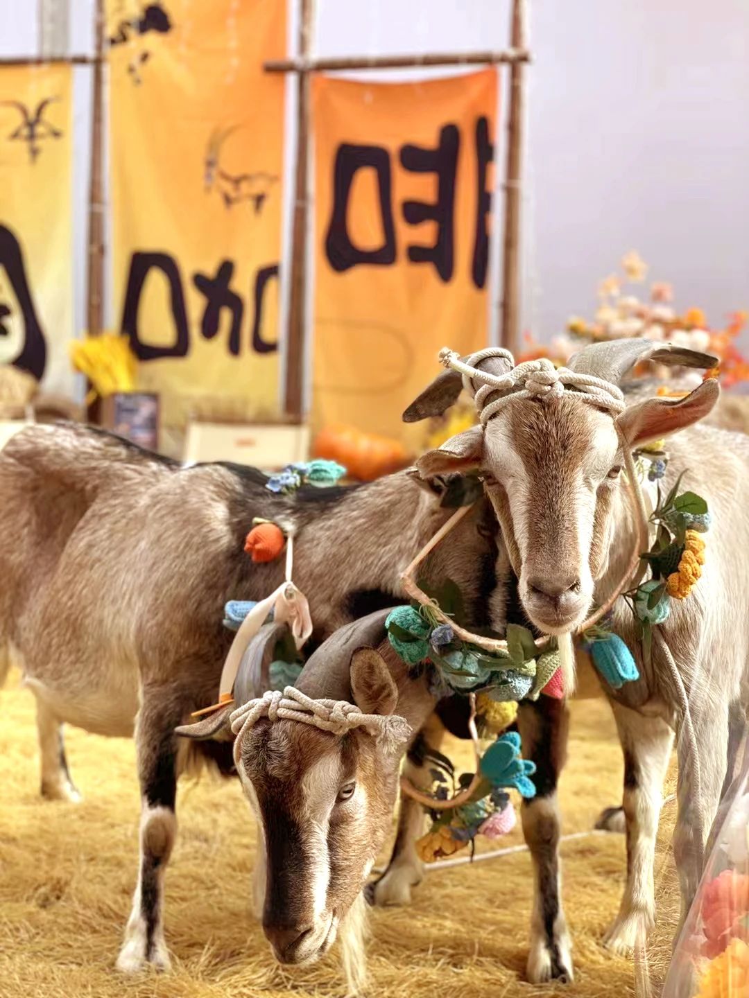 6萬人次入場，意向成交額32億元！第20屆&ldquo;織交會&rdquo;完美收官