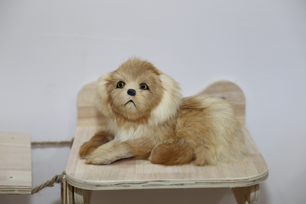 眾地家紡發(fā)力寵物用品， 倍受日商青睞