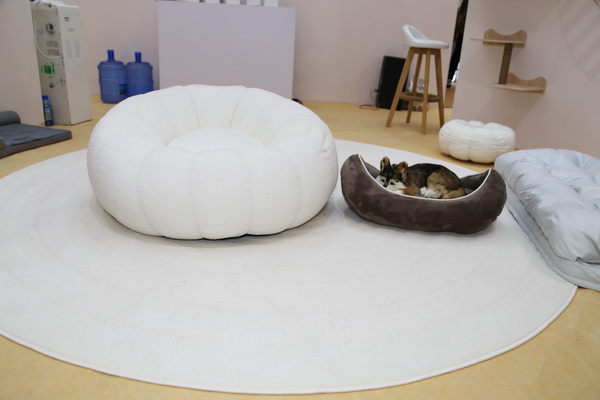 眾地家紡發(fā)力寵物用品， 倍受日商青睞