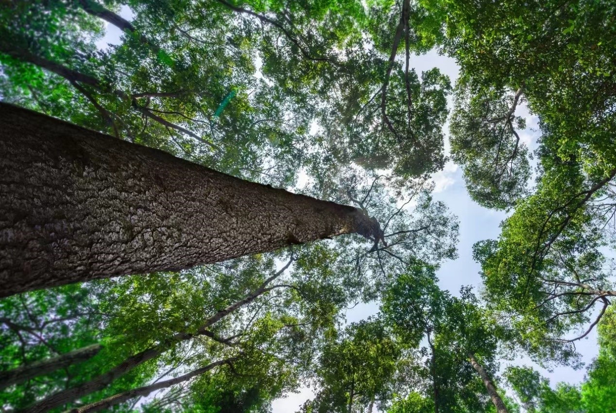 蘭精在2024年上海國(guó)際紡織面料展上展示用于防紫外線服裝*的天絲&trade;莫代爾纖維