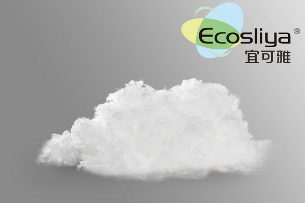 詮釋竹風(fēng)雅韻，&ldquo;纖&rdquo;動(dòng)綠色風(fēng)尚！絲麗雅系列產(chǎn)品品牌即將于柯橋發(fā)布