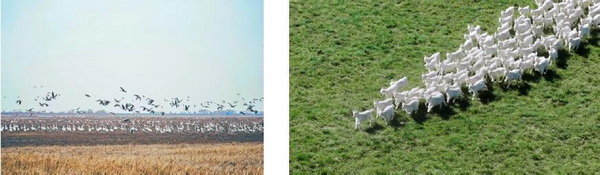 “善議:探索前沿”可持續(xù)時(shí)尚論壇