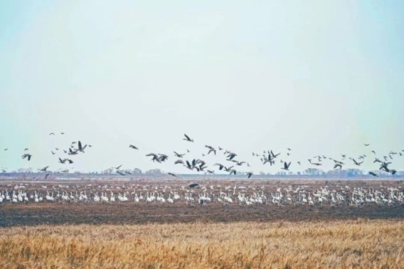 善議2024:綠色邊界與新質(zhì)生產(chǎn)力