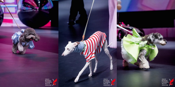 柯橋時(shí)尚綻放高光！20場(chǎng)品牌發(fā)布會(huì)傳遞原創(chuàng)設(shè)計(jì)之美