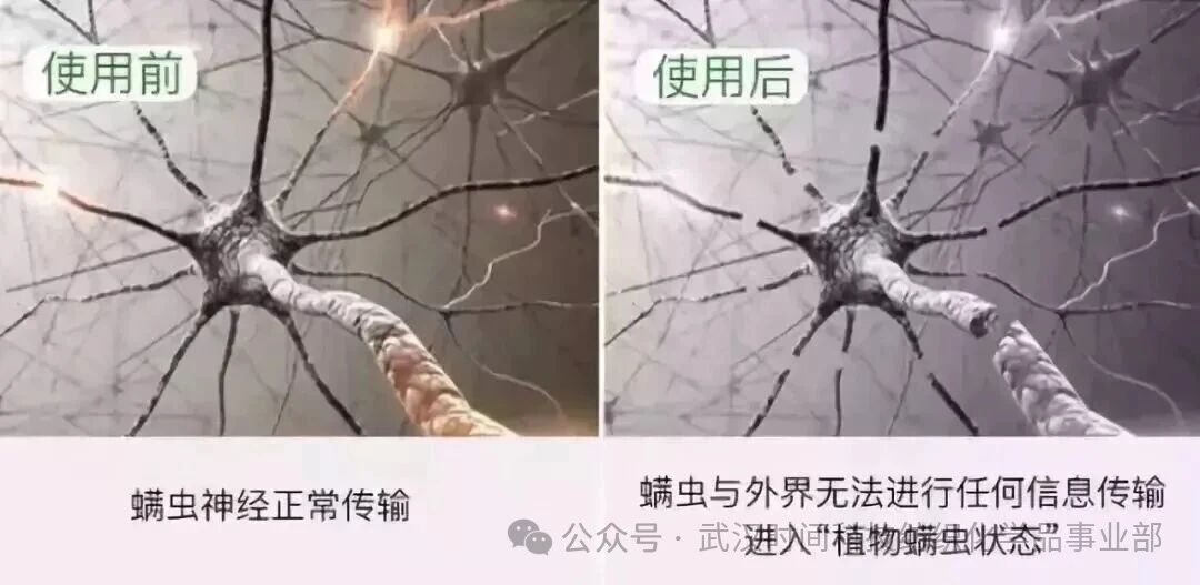  防螨！已成為健康的&ldquo;新剛需&rdquo;--武漢時間科技推出紡織品防螨整理劑喜化&reg;植螨零